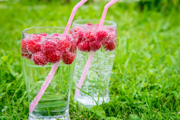 夏季饮料有苏打水和新鲜的浆果 — 图库照片