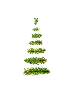 Noel ağacı çam dalları beyaz zemin üzerine gelen sembolü. Kopya alanı, tebrik için