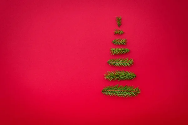 Noel ağacı çam dalları kırmızı zemin üzerine gelen sembolü. Kopya alanı, tebrik için