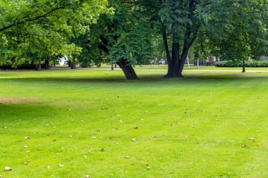 Şehir Parkı güneşli yaz gün