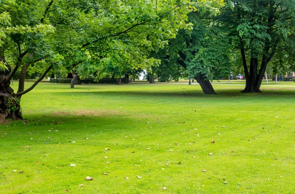 Parco cittadino nella soleggiata giornata estiva — Foto Stock