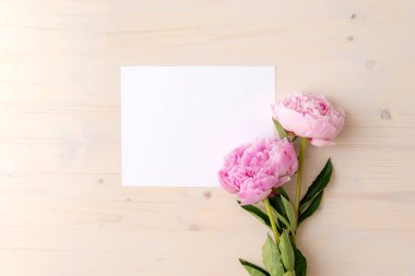 Beyaz ahşap arka plan kopya alanı ile pembe Şakayık çiçekleri