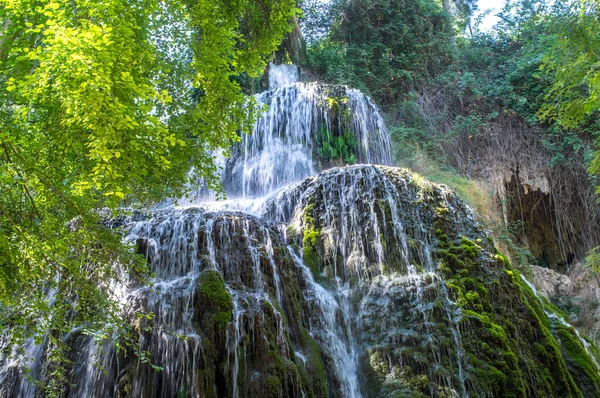 Cascada escénica rodeada por el bosque verde —  Fotos de Stock