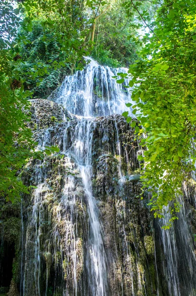 Yeşil orman tarafından çevrili doğal şelale