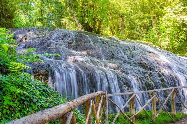 Yeşil orman tarafından çevrili pitoresk şelale 