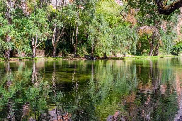 숲으로 둘러싸인 미러 호수의 풍경 — 스톡 사진