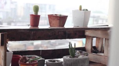 Hava durumu, sezon, yağmur mevsimi