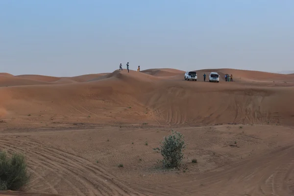 Paisaje, naturaleza, desierto — Foto de Stock