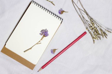 kopyalama alanı, arka plan, kavram