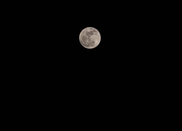 月亮，自然夜 — 图库照片