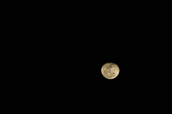 Lune, nature, nuit — Photo