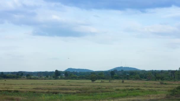 Nature,field,sky,time lapse — Stock Video