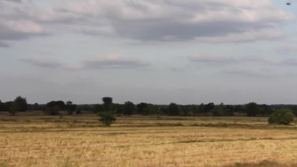 Nature, field, sky, time lapse — стоковое видео