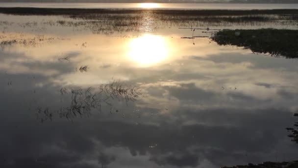 Nature, sunrise, time lapse — стоковое видео