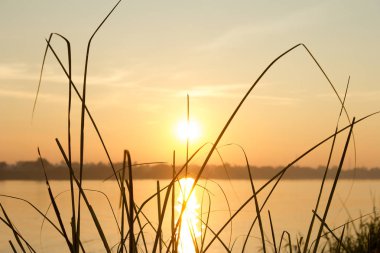 soyut, doğa, gün batımı