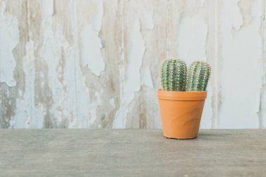 ağaç, arka plan, kaktüs