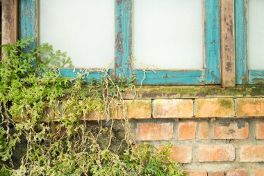 arka plan, doku, Bahçe