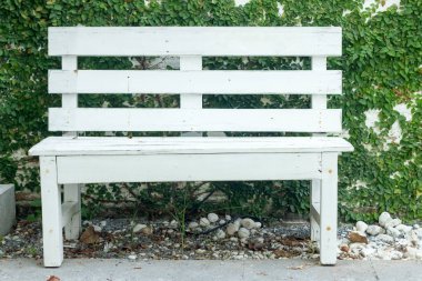 Bahçe, arka plan, doğa