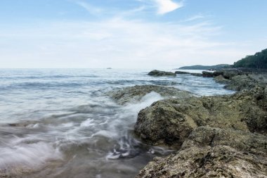 Doğa, arka plan, açık