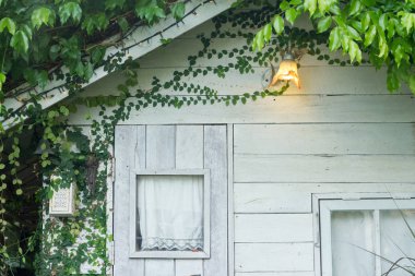 House, arka plan, doku