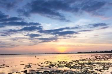 doğa, sezon, arka plan