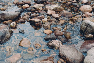 Dağlarda balıkçı nehri. Doğa konsepti. Nehrin berrak suları