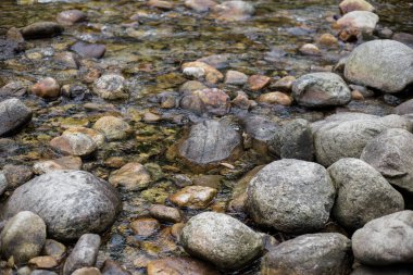 Dağlarda balıkçı nehri. Doğa konsepti. Nehrin berrak suları