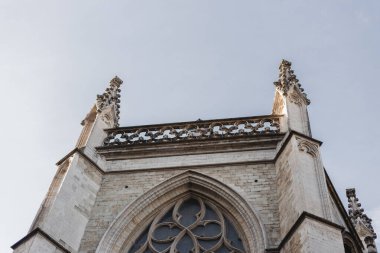 Brüksel, Belçika 'daki St. Michael ve St. Gudula Katedrali. Güzel gotik katedral