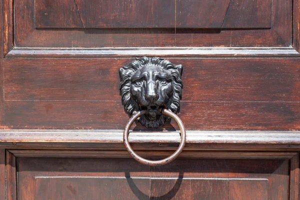 Tocador de puerta de latón antiguo en forma de cabeza de león, detalle de puerta de madera — Foto de Stock