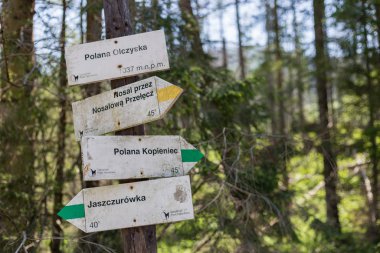 Zakopane, Polonya, - 08 Haziran 2019: Polonya 'da turistik işaretçi patikaları. Doğal dış seyahat geçmişi.
