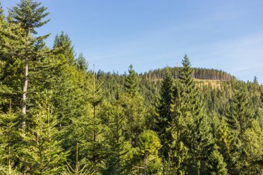 Görünür siluetleri olan bir dağ sırası. Dağ manzarasının tepesinde boş duruyor. Turizm konsepti.
