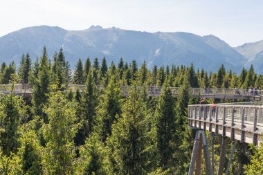 Zdiar, Bachledova Dolina, Slovakya - 14 Eylül 2019 Ağaç tepesi Bachledka 'da Yüksek Tatra dağlarında, Slovakya' da Bachledova Vadisi