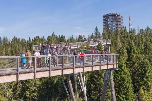Zdiar, Bachledova Dolina, Slovakya - 14 Eylül 2019 Ağaç tepesi Bachledka 'da Yüksek Tatra dağlarında, Slovakya' da Bachledova Vadisi