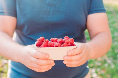 Karton kutunun içindeki taze ahududu üzerine yakın plan. Sağlıklı, organik gıda konsepti. Böğürtlen topla