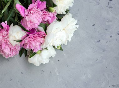 Gri taş arka planda pembe ve beyaz şakayıklar, metin üstü görünümün için alanı kopyala