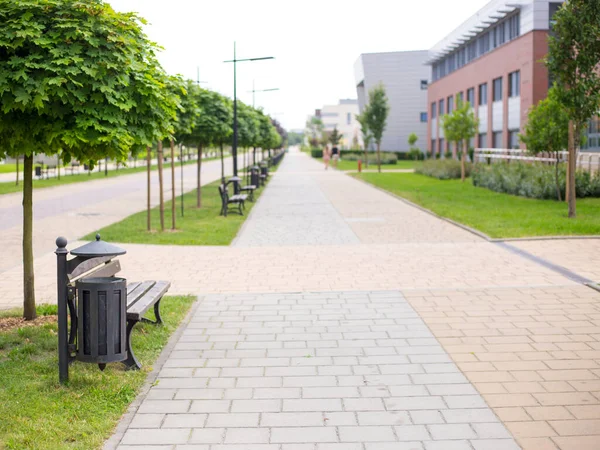 Egyetemi Campus Egy Napsütéses Napon — Stock Fotó