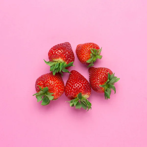 Pembe arka planda izole edilmiş çilekler. Taze böğürtlen düzlüğü. Yaratıcı gıda konsepti