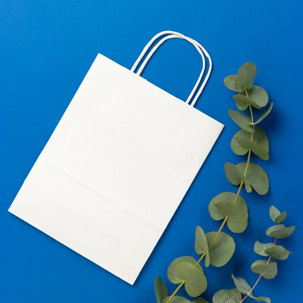 Saco Papel Branco Com Alças Folhas Eucalipto Fundo Azul Flat — Fotografia de Stock