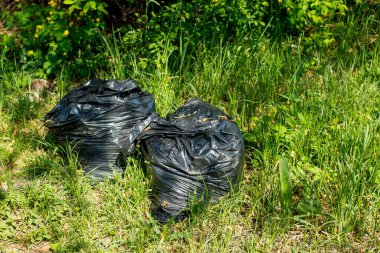 Parktaki çimlerin üzerinde birkaç siyah çöp torbası var..