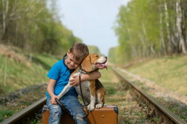 Bir çocuk yedi yaşında bir Beagle ormanda ile baharda yürüme