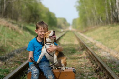 Bir çocuk yedi yaşında bir Beagle ormanda ile baharda yürüme