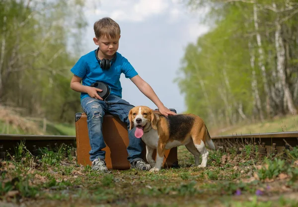 Bir çocuk yedi yaşında bir Beagle ormanda ile baharda yürüme