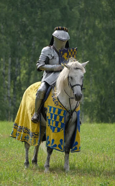 Cavaleiro medieval em armadura a cavalo — Fotografia de Stock