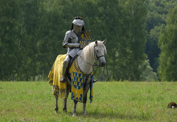 Zırh at sırtında Ortaçağ Şövalyesi