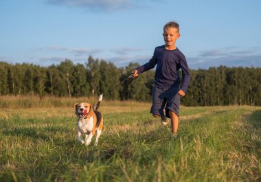 Avrupa çocuk bir Beagle ile bir yürüyüş üzerinde çalışan