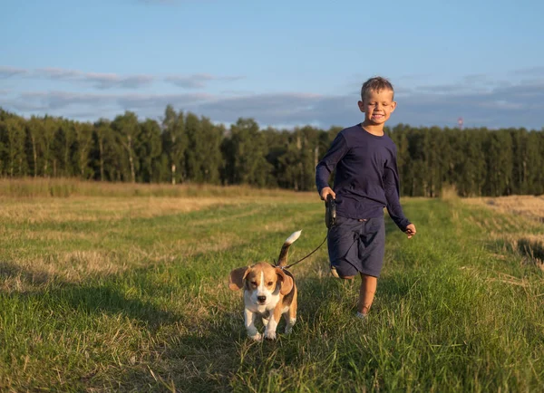 Avrupa çocuk bir Beagle ile bir yürüyüş üzerinde çalışan