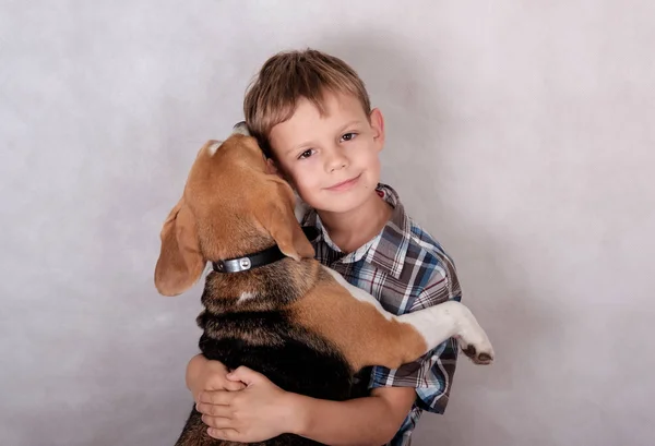 Europejskiego chłopiec przytulanie psa Beagle — Zdjęcie stockowe
