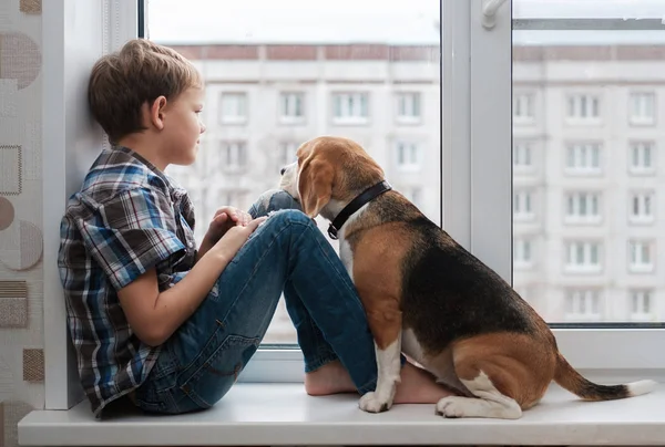 Avrupa çocuk ve Beagle köpek pencere üzerinde