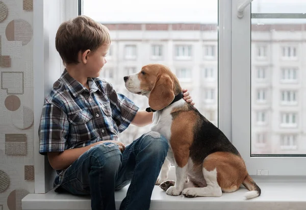 Avrupa çocuk ve Beagle köpek pencere üzerinde