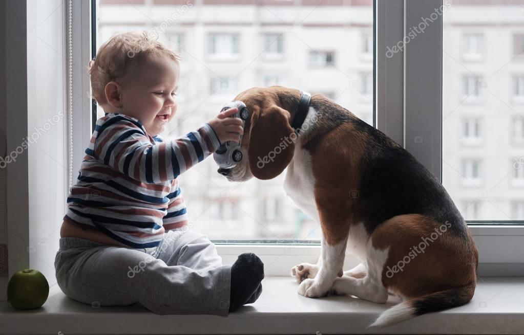 boy and Beagle dog sit together on the window sill
